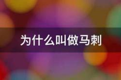 开云体育-为什么叫做马刺