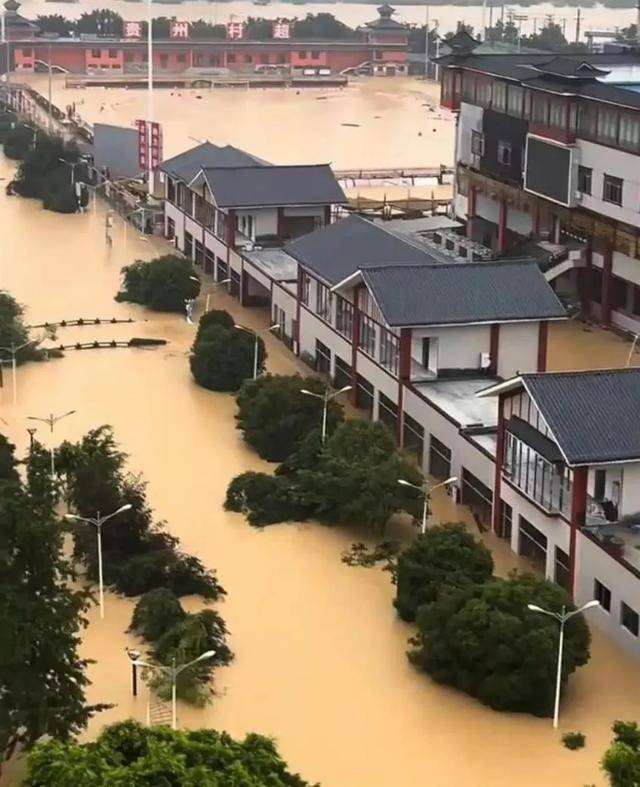 “村超”球场，重新亮灯！
