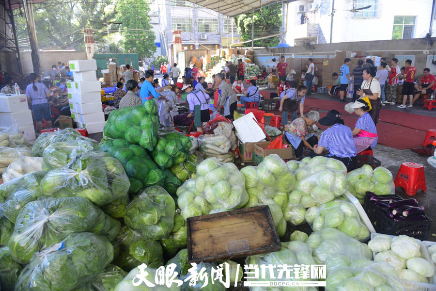 他们，拼杀在“村超”赛场
